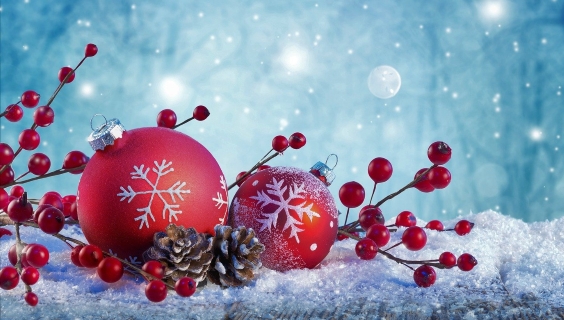Røde julekugler, kogler og kviste med røde bær på sneklædt gren med blå baggrund